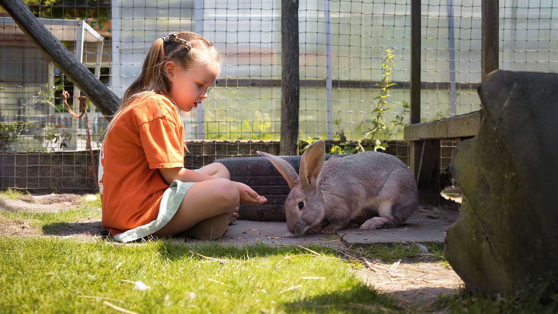Meisje geeft konijn eten bij Kids Lodge